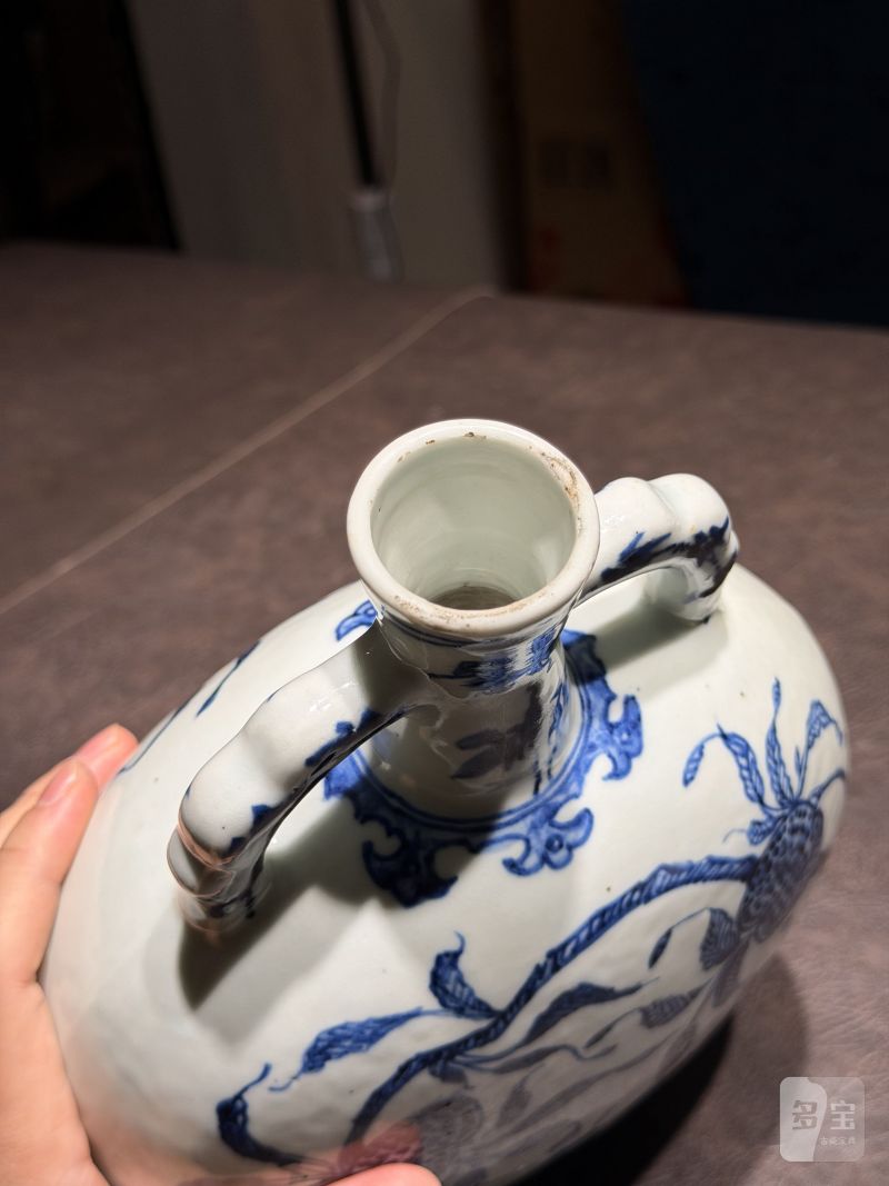 清雍正 青花折枝瑞果纹抱月瓶 - 图21